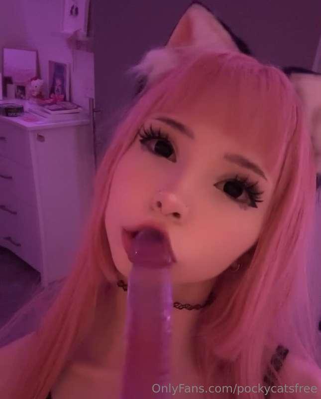 pockycatsfree image #0