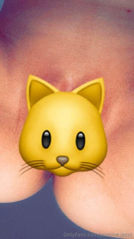 jasmine.jazzz image #0