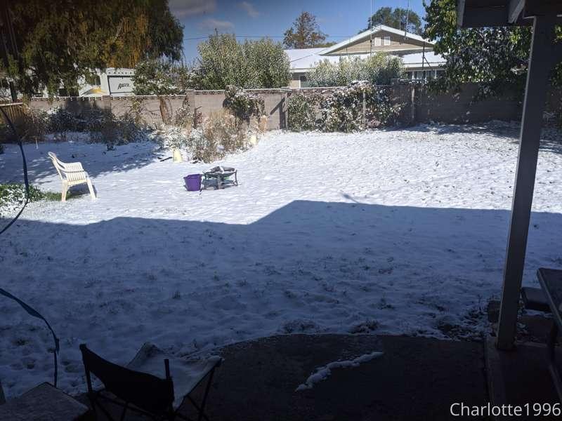 charlotte1996 main image