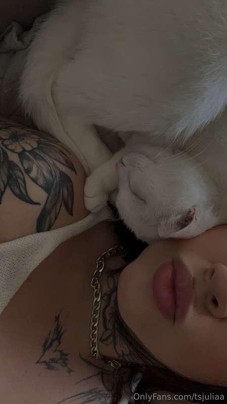 Every fur parents dream 🥰 Do you own one?