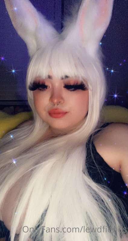 happy bunny day
