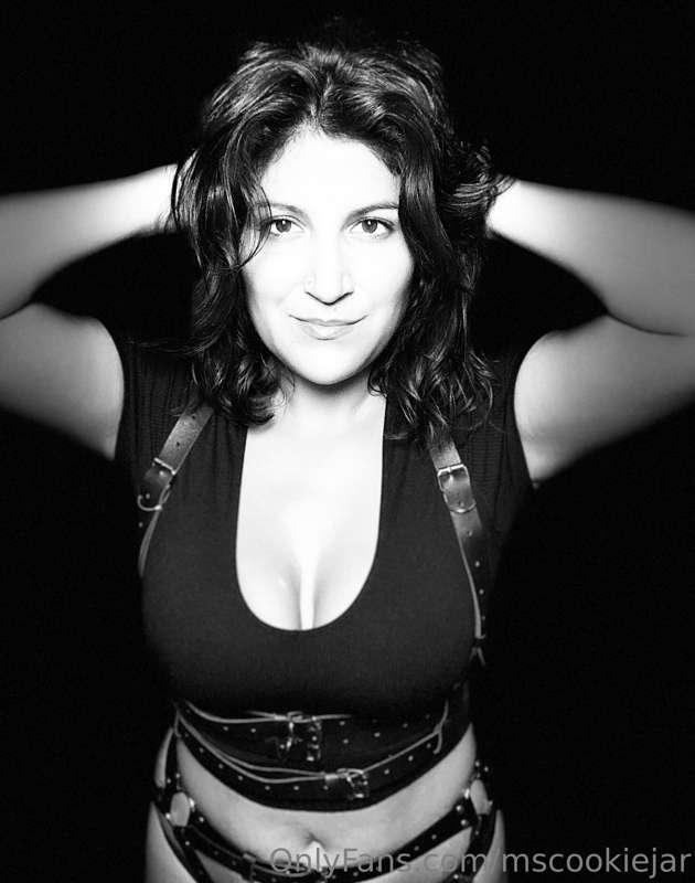 mscookiejar image #0