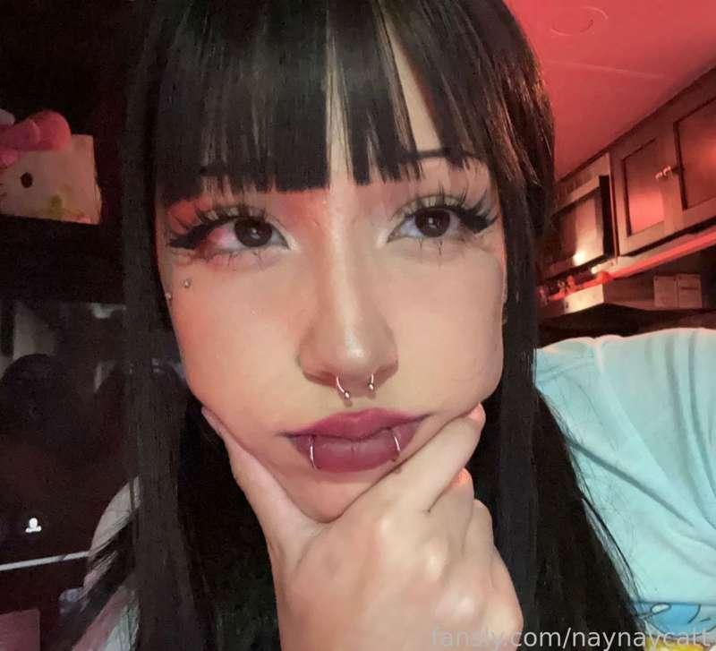 naynaycatt image #1