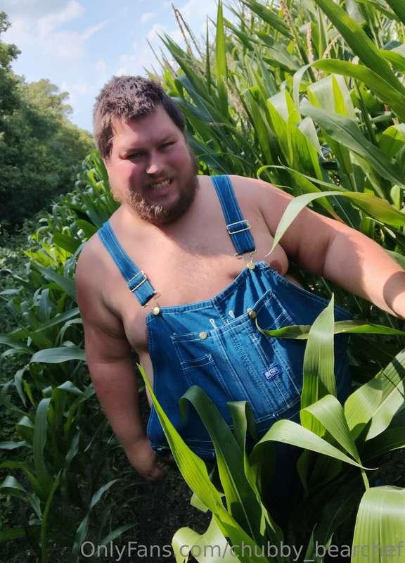 chubby_bearchef image #1
