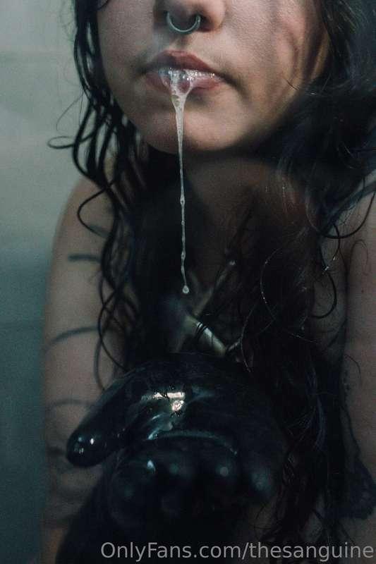 thesanguine image #7