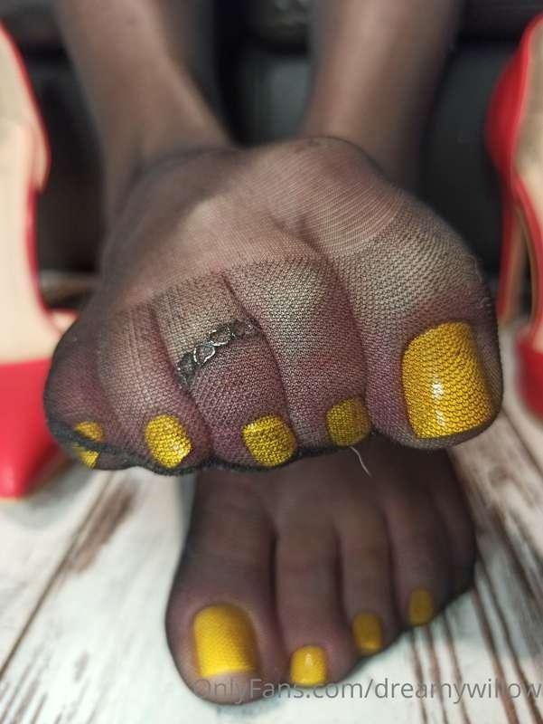 dreamywillow image #23