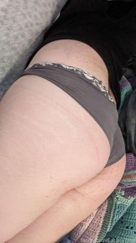 catboyzion image #0