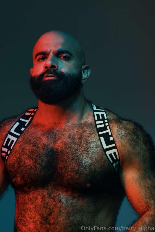 Foto by the great David Velez