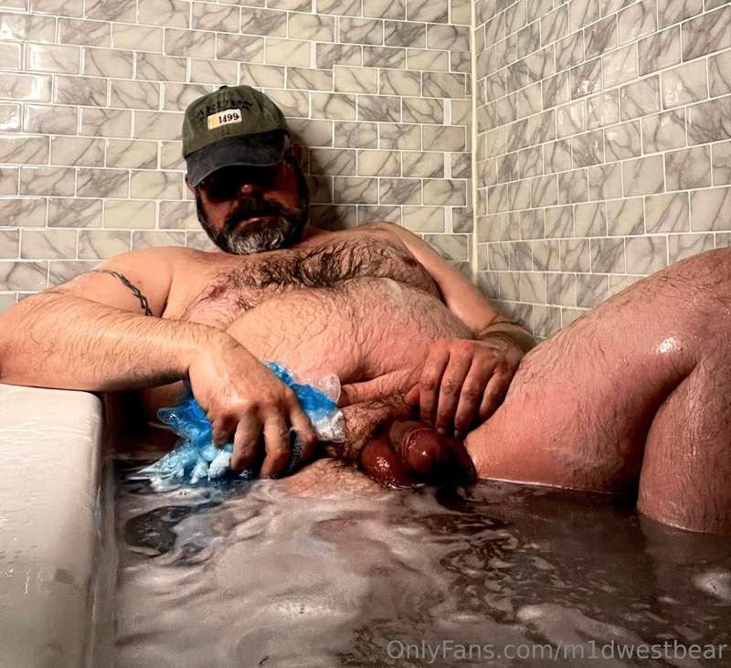 m1dwestbear image #5