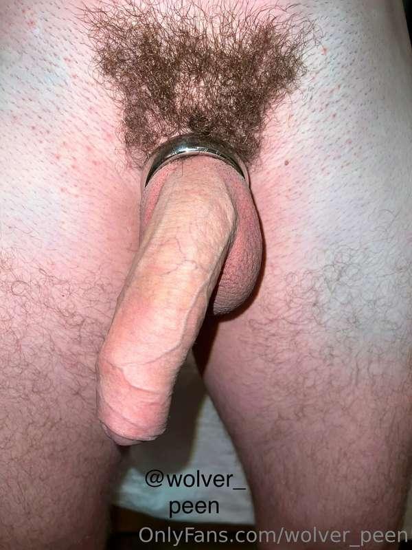 wolver_peen image #2