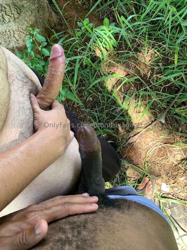 montalvaodott image #9