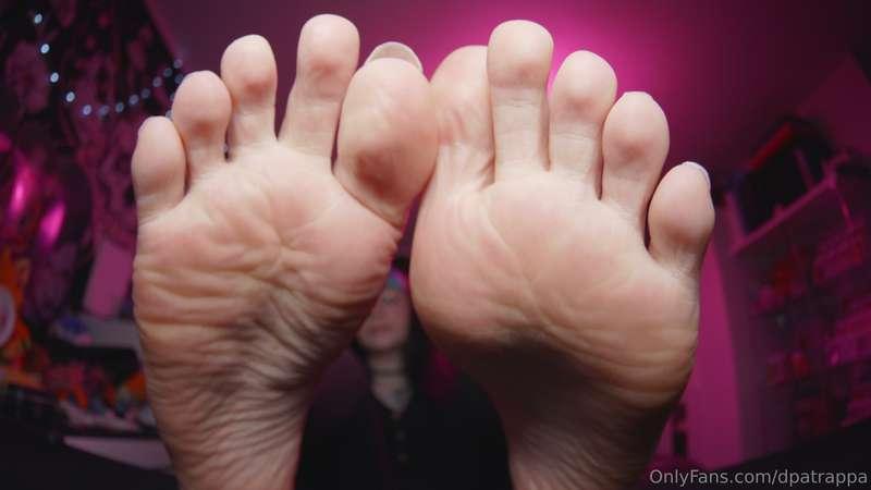dpatrappa image #8