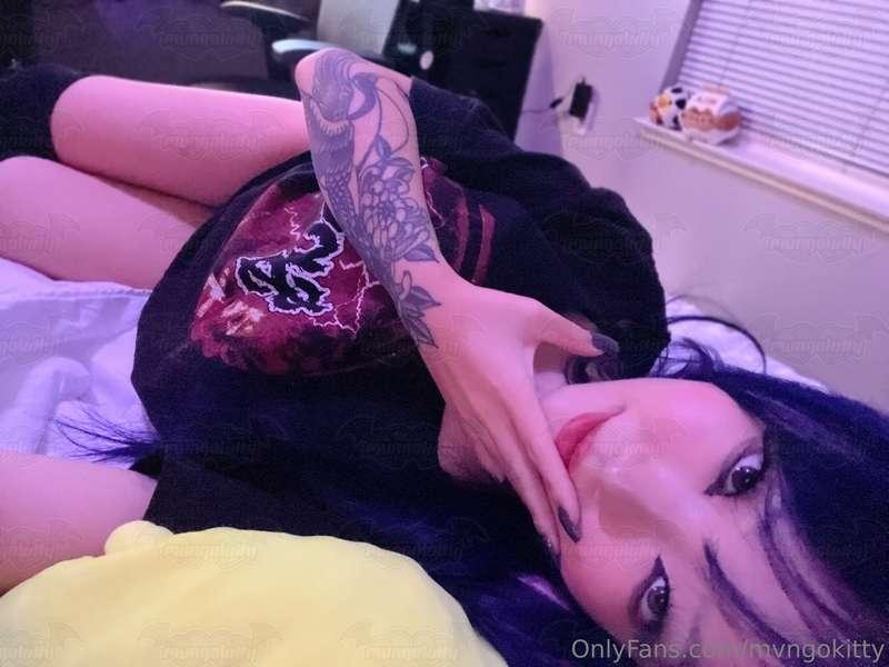 mvngokitty image #0