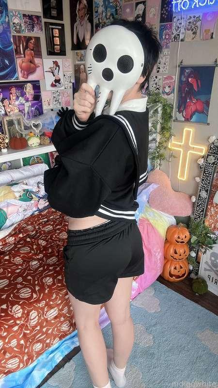 indigowhite image #180