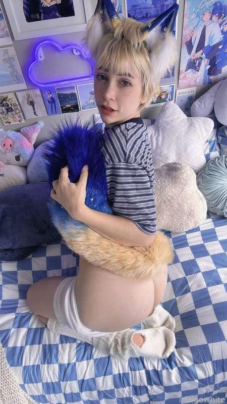 indigowhite image #62