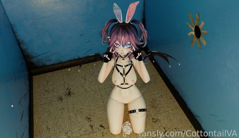 cottontailva image #4