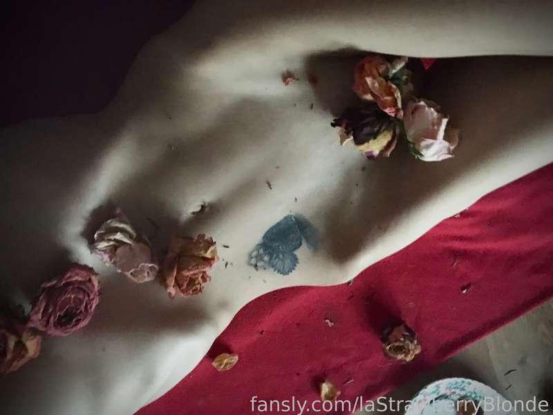 lastrawberryblonde image #3