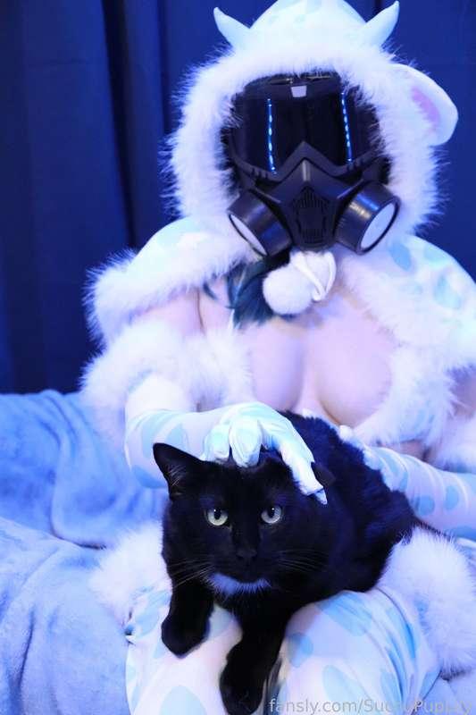 succupuplily image #13
