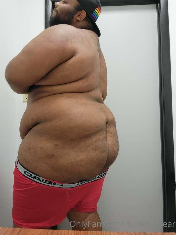 brotherbear image #1