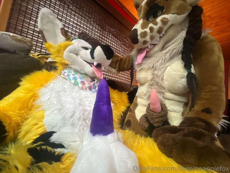 thepineapplefox image #7