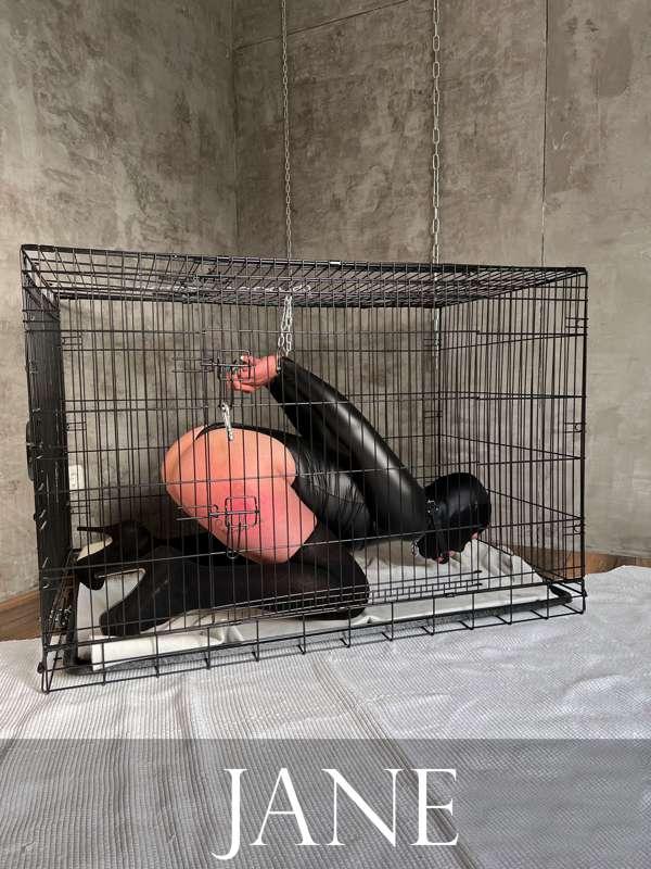 artigseducation image #3
