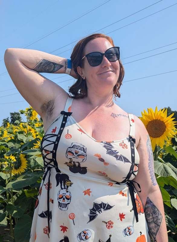 pumpkinpatchof image #0