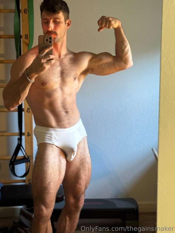 thegainsmaker image #1