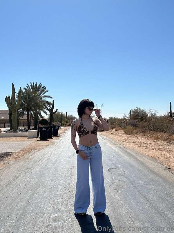 sheabriar image #0