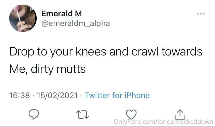 @emeraldm_alpha getting her subs in order.