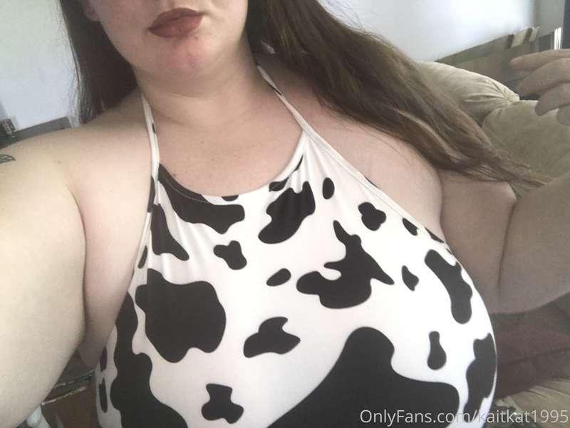 How do you like my new shirt?