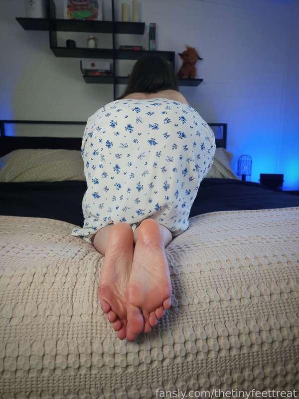 thetinyfeettreat image #0