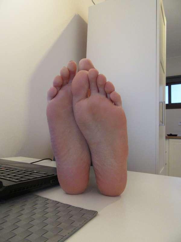 neolasoles image #12