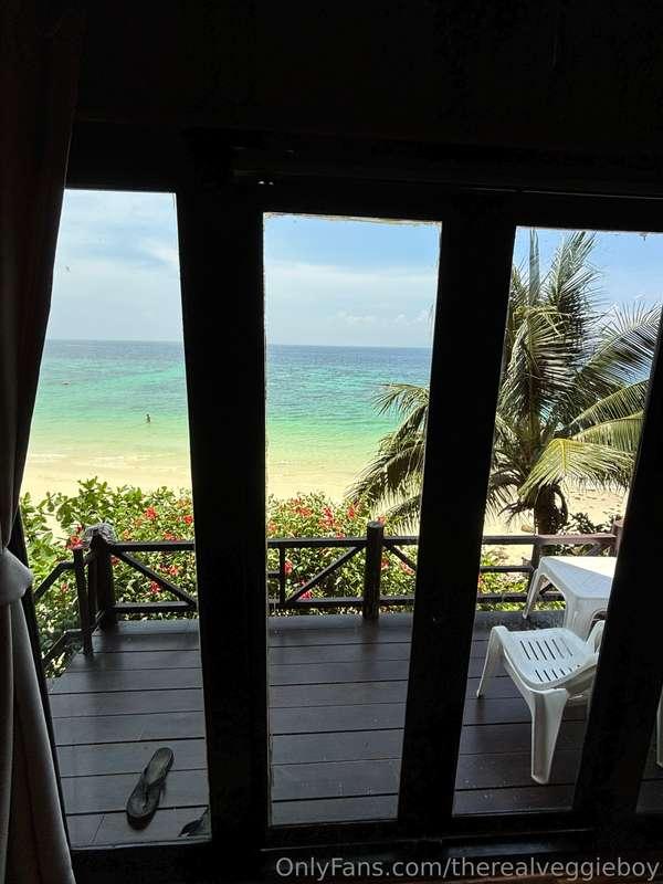 therealveggieboy image #1