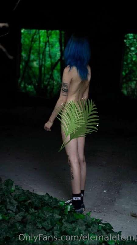 Do you like nature?🦋