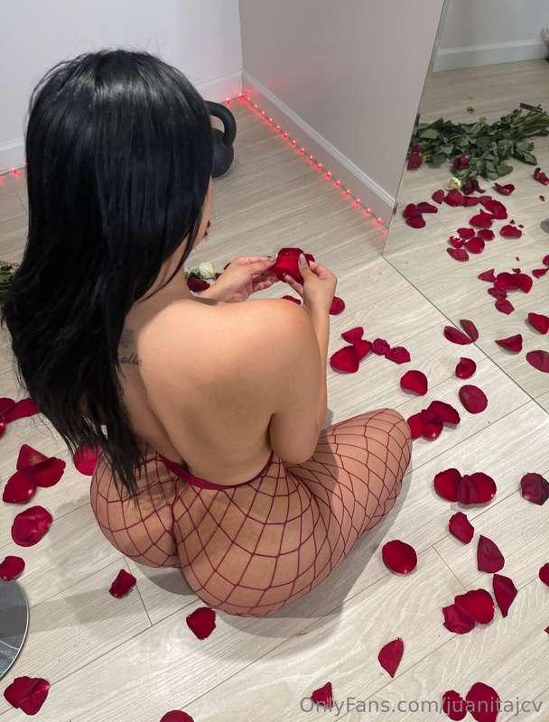 Sometimes I like things gentle ♥️🌹