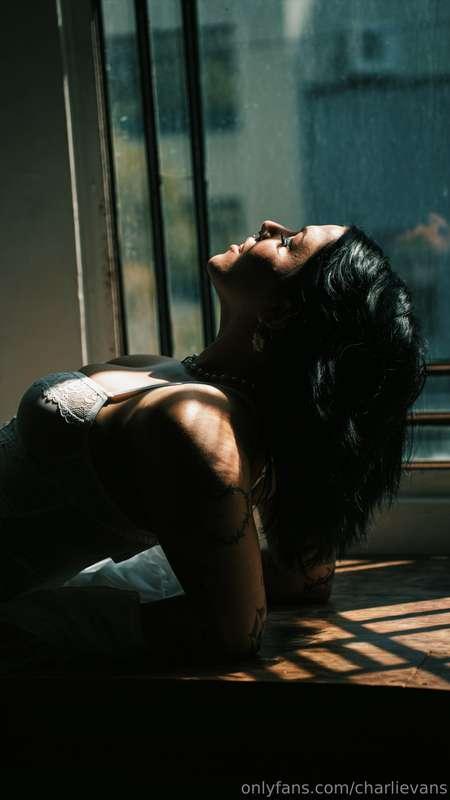 charlievans image #0