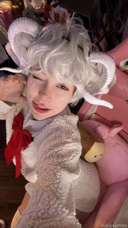 indigowhite image #169