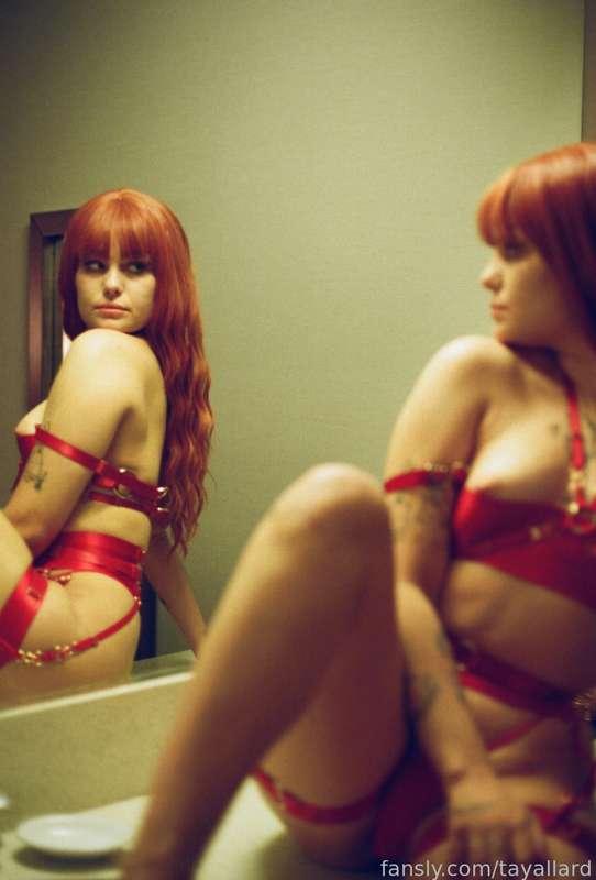 tayallard image #3