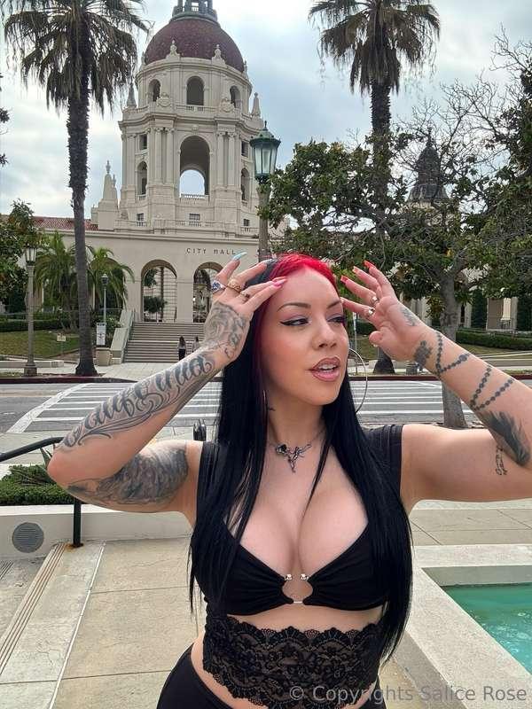 🍈🍈😻