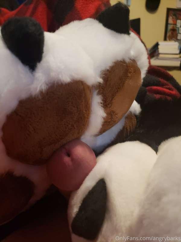 angrybarks image #0