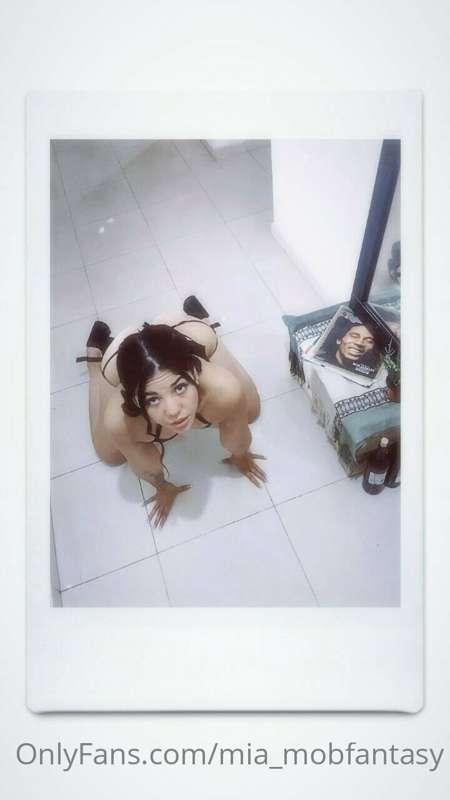 🐇