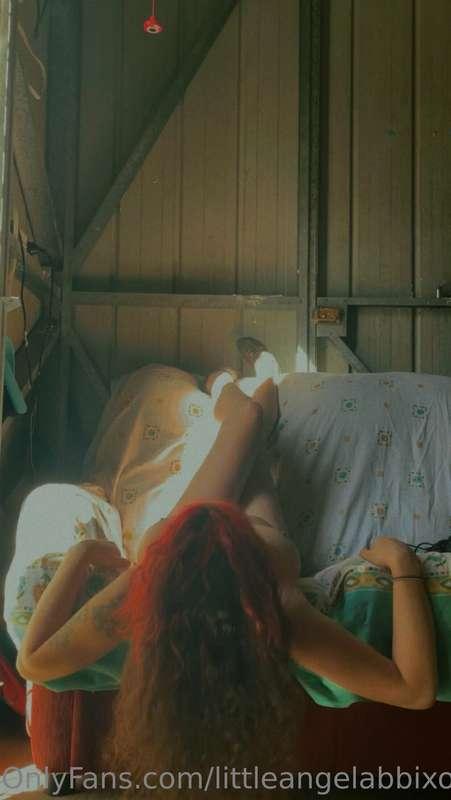littleangelabbixoxo image #0
