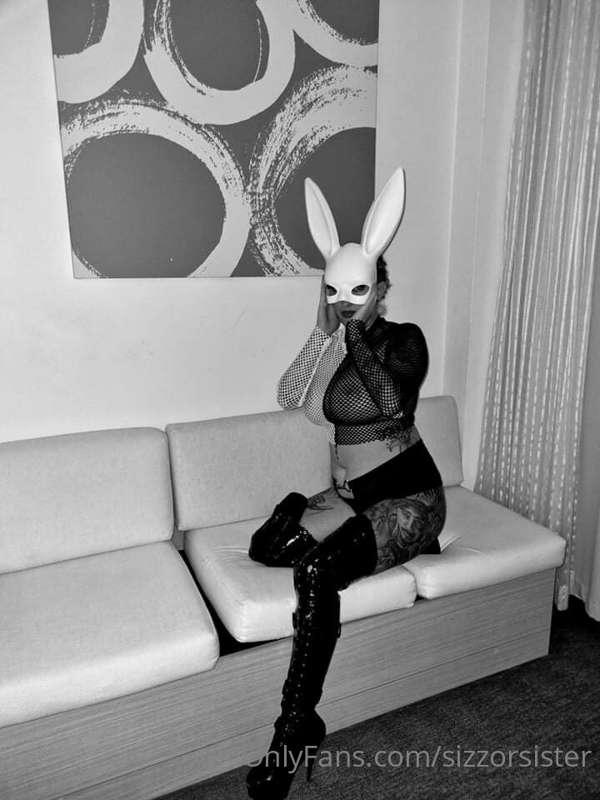 🐰 hunny bunny 🐰