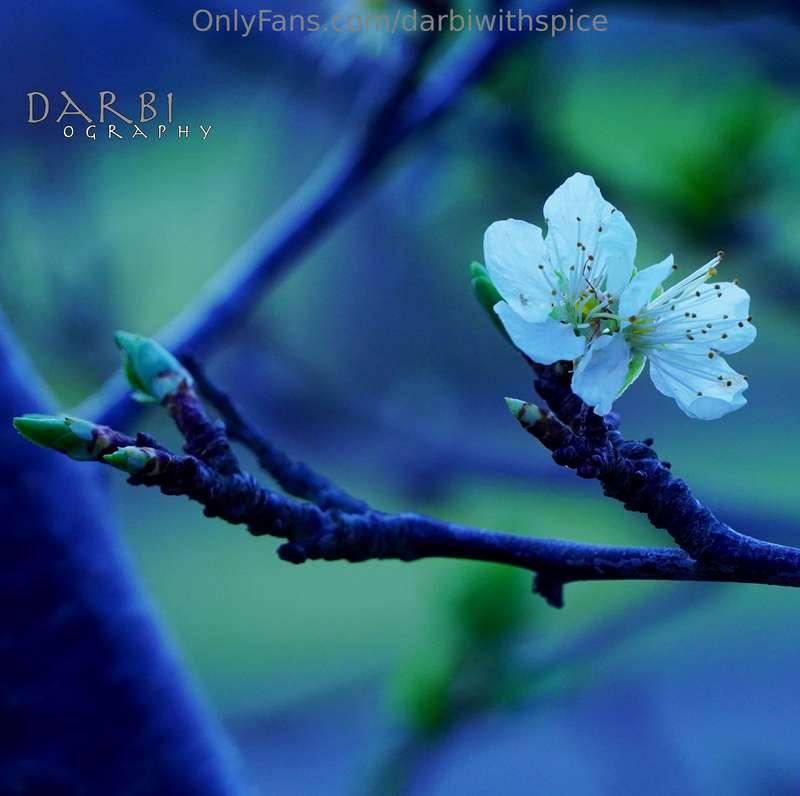 Some pics I took today. 