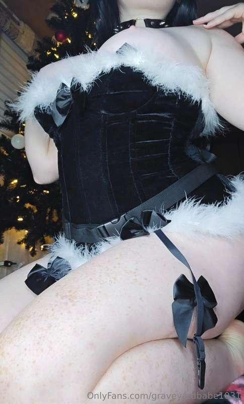 Curvy little kitten ;3 