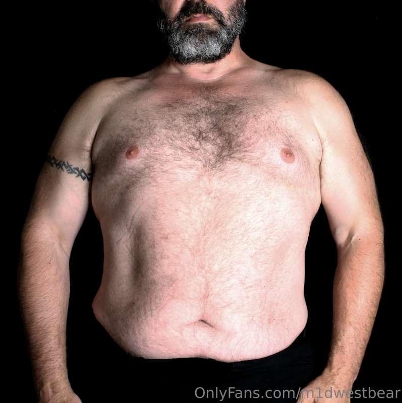 m1dwestbear image #4