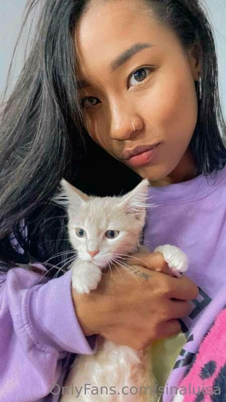 😻😻