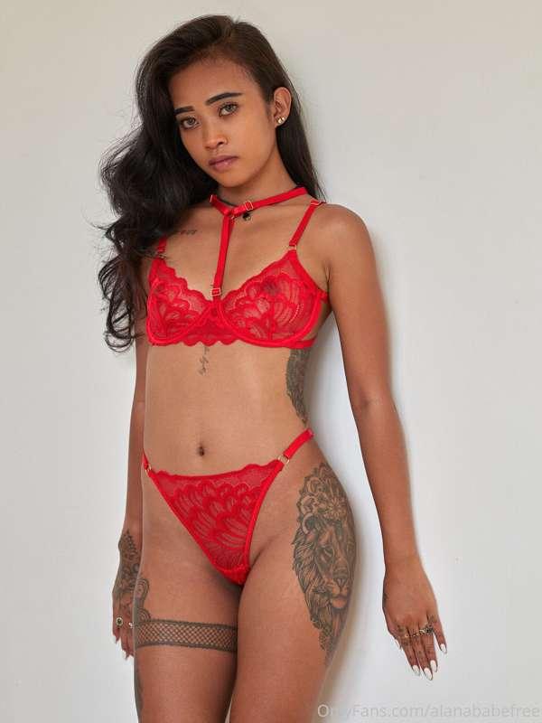 alanacryptofree image #0