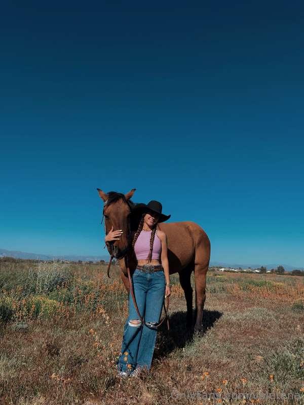 Save a horse, ride a who?