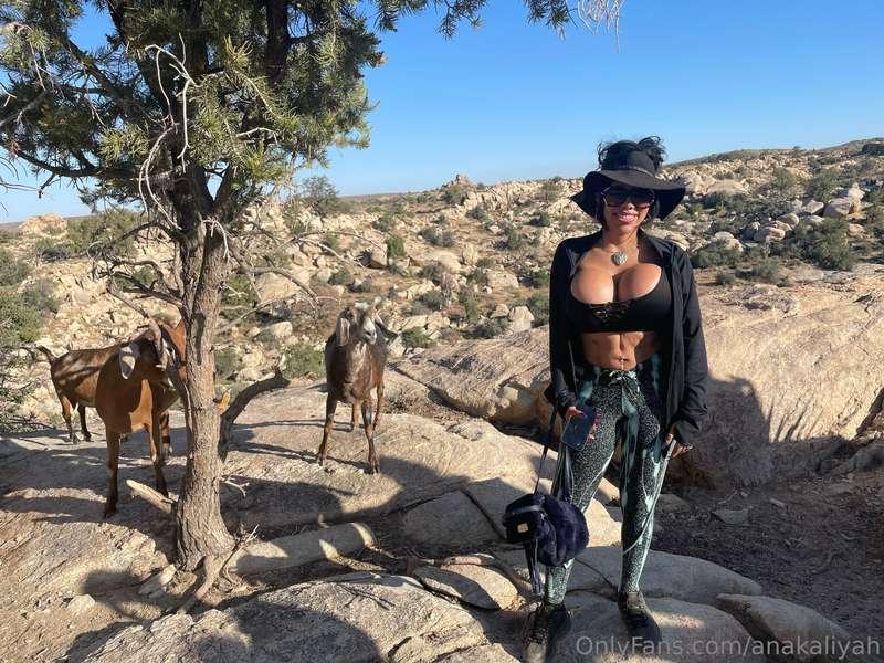 The moment you wish you could be a goat to be closer to my t..
